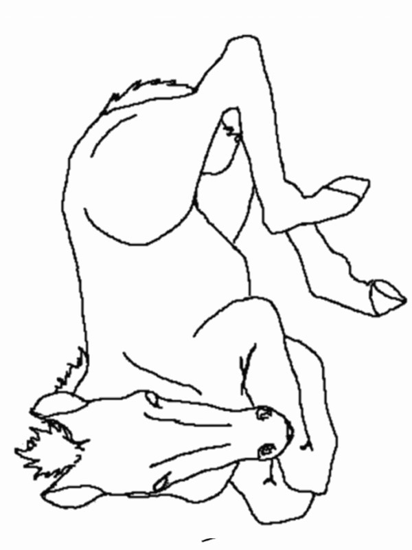 foal Coloring page