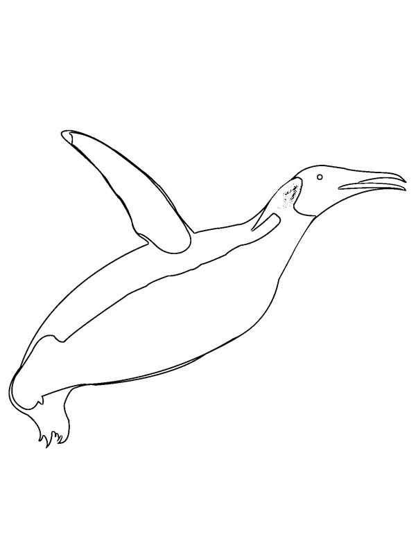 Flying penguin Coloring page