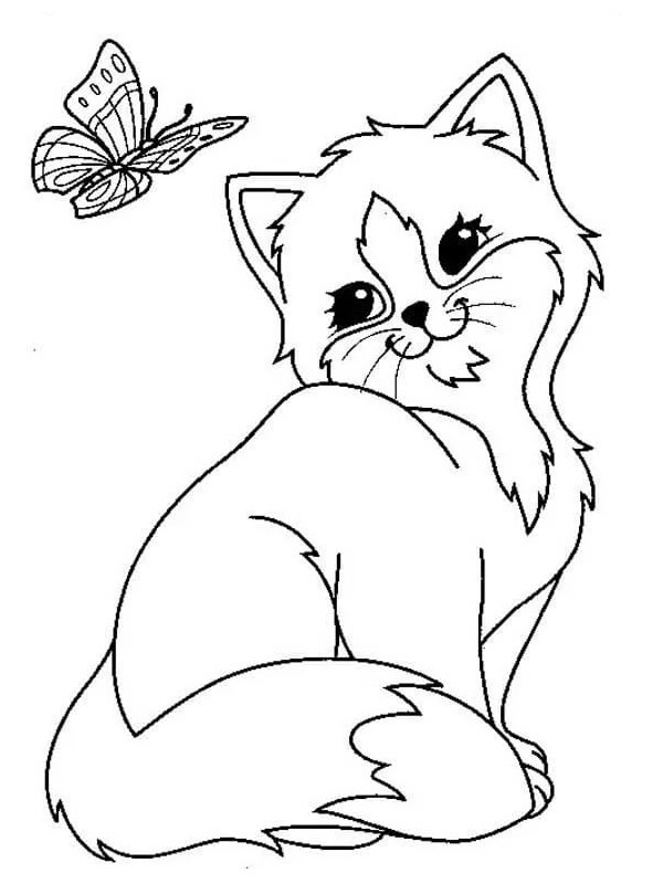 butterfly and kitten Coloring page