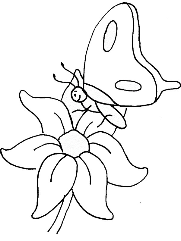 Butterfly on flower Coloring page