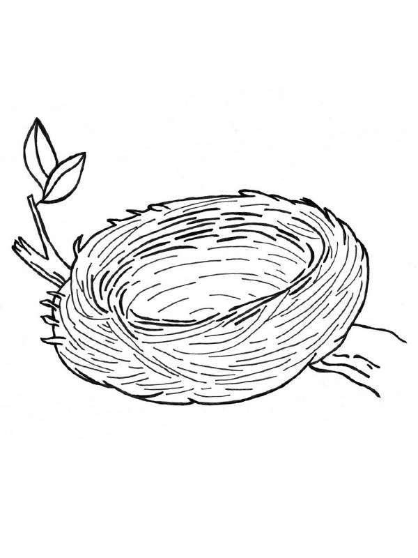Bird nest Coloring page