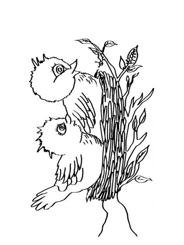 Birds nest Coloring page