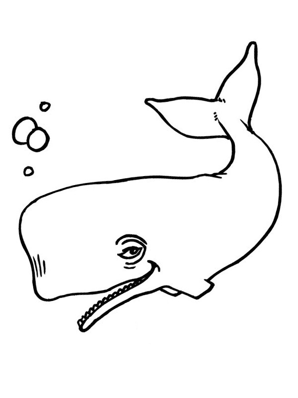 Whale Coloring page