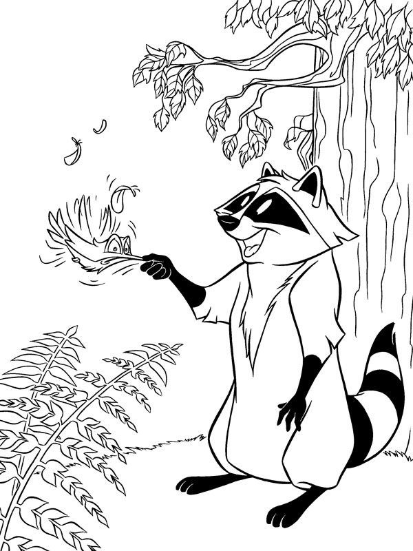 Raccoon Meeko and hummingbird Flit Coloring page Raccoon Meeko and hummingbird Flit Coloring page
