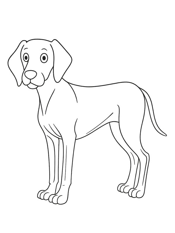 Weimaraner Coloring page