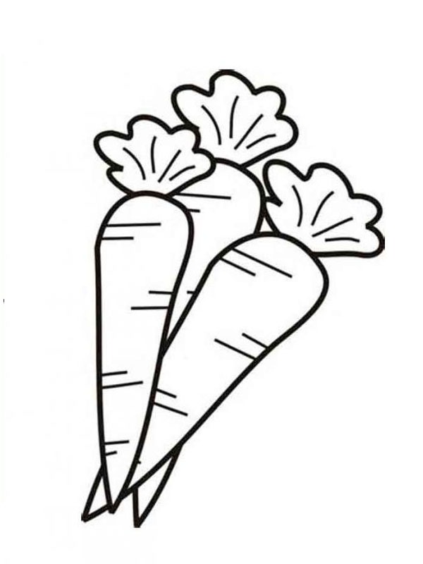 carrots Coloring page