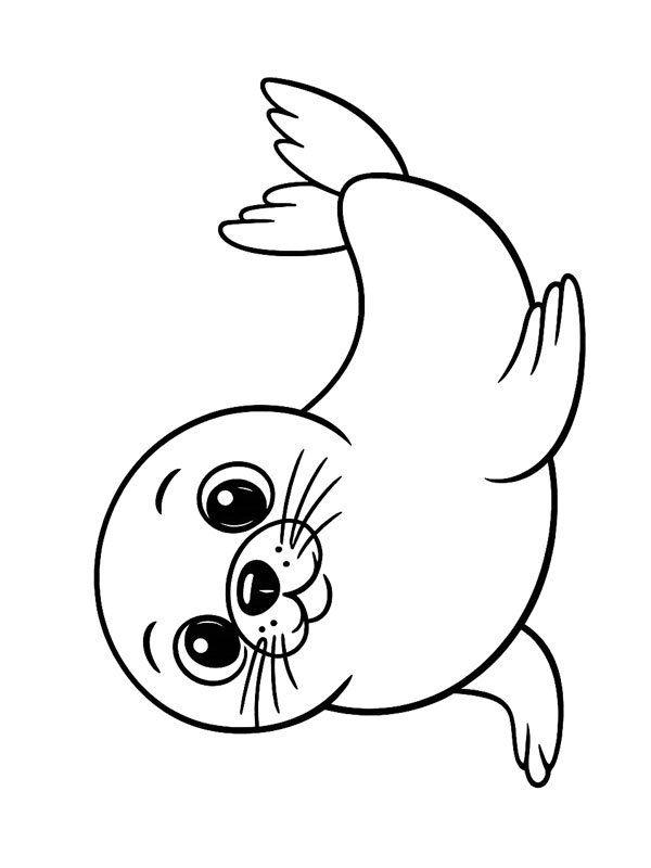 Seal Coloring page