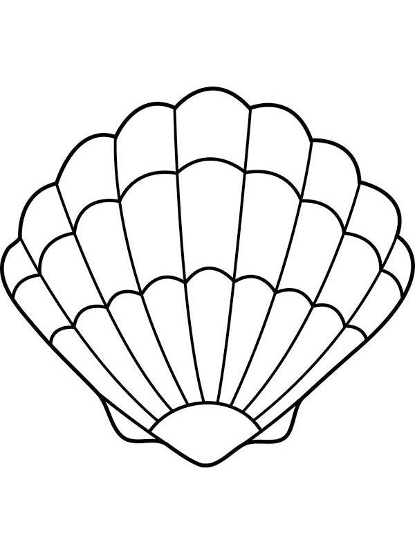 Sea shell Coloring page