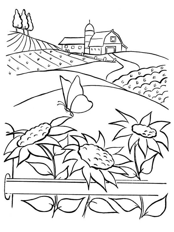 Sunflowers in the field Coloring page