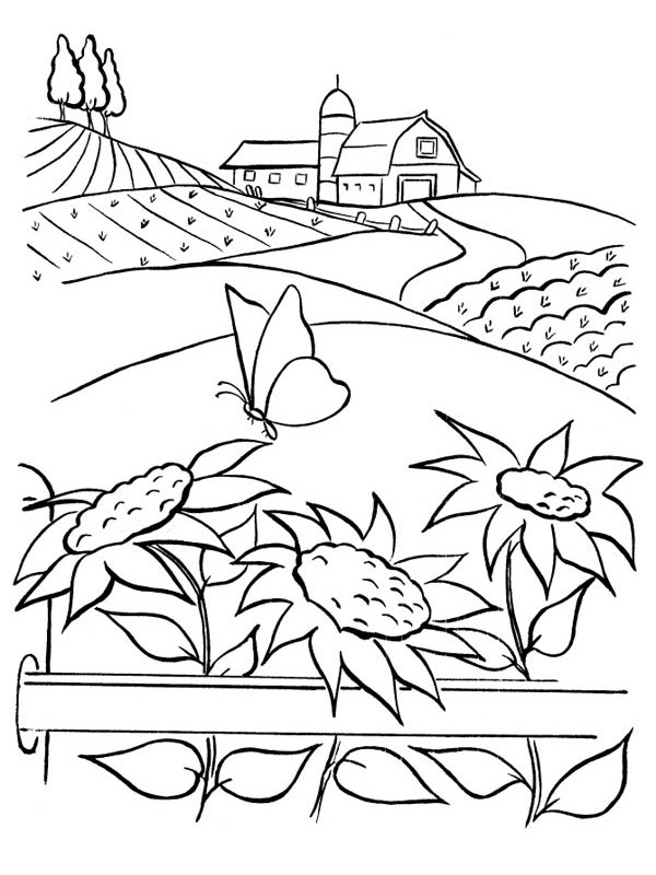 Sunflowers in the field Coloring page Sunflowers in the field Coloring page