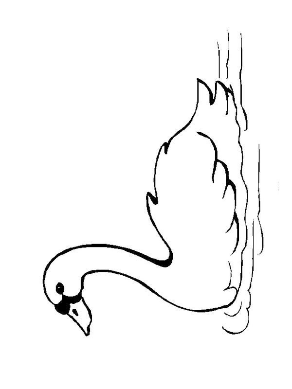 Swan Coloring page